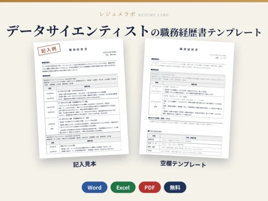 データサイエンティストの職務経歴書テンプレート｜記入見本・書き方ガイド付き（Word・Excel・PDF）