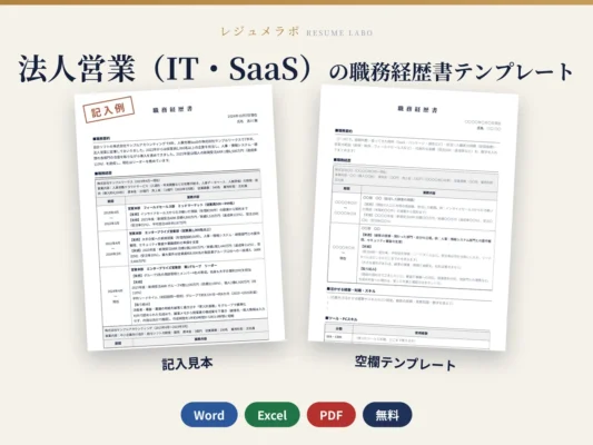 法人営業（IT・SaaS）の職務経歴書テンプレート｜記入見本・書き方ガイド付き（Word・Excel・PDF）